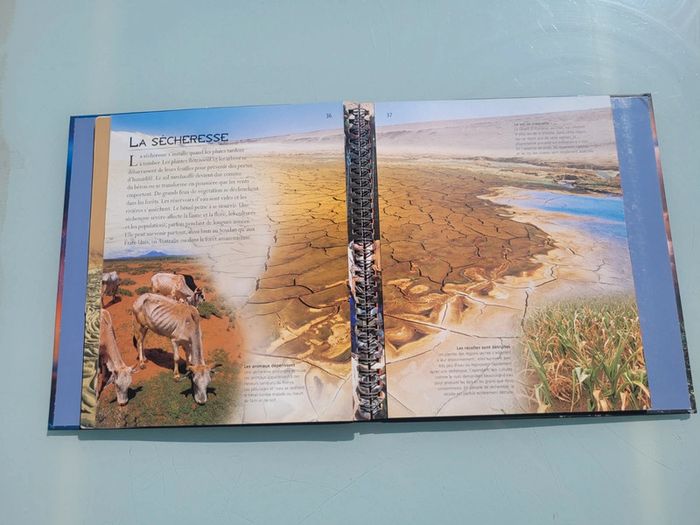 Livre Éditions Rouge et Or 🌪Les Catastrophes Naturelles 🌌 L'Oeil de l'explorateur - photo numéro 12