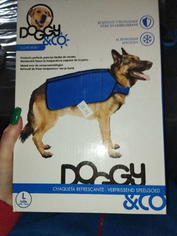 Veste rafraîchissante chien