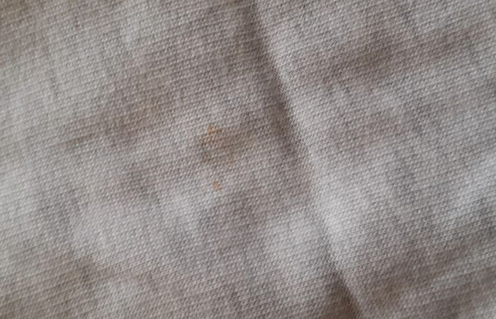 Sweat à capuche gris très clair. 11/12 ans. Champion. - photo numéro 6