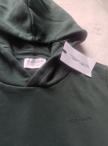 Sweat a capuche Teddy Smith vert