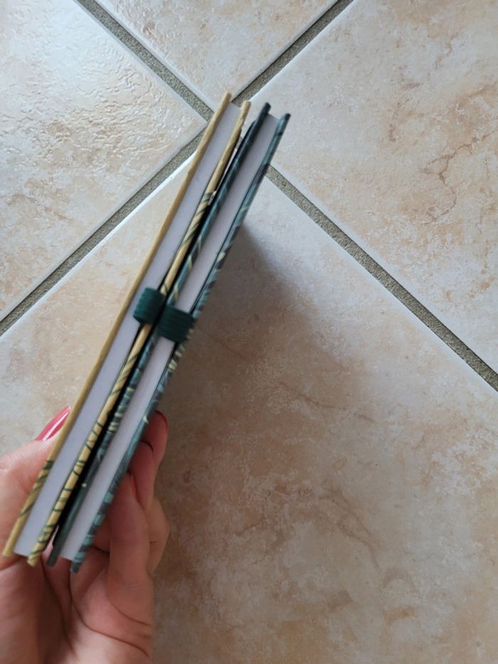 Lot 2 carnets Natural way of life - photo numéro 4