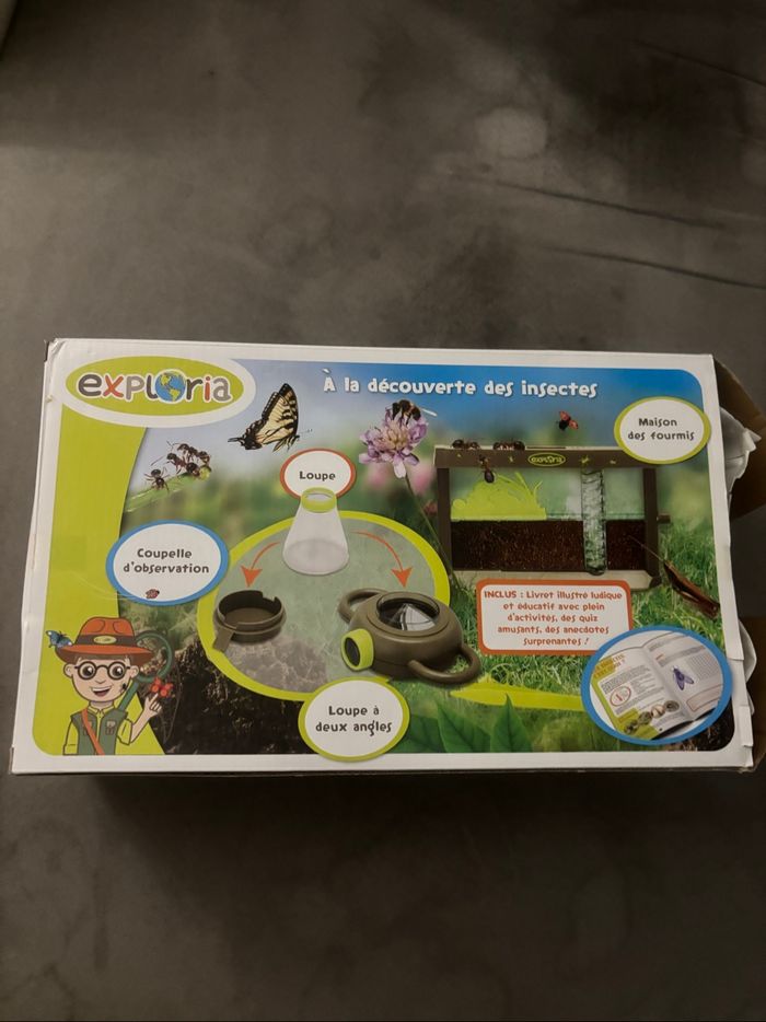 À la découverte des insectes 6+ - photo numéro 3