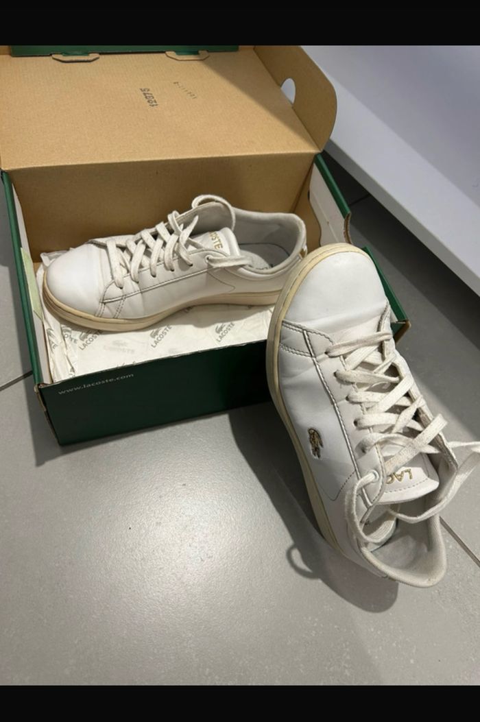 Basket Lacoste