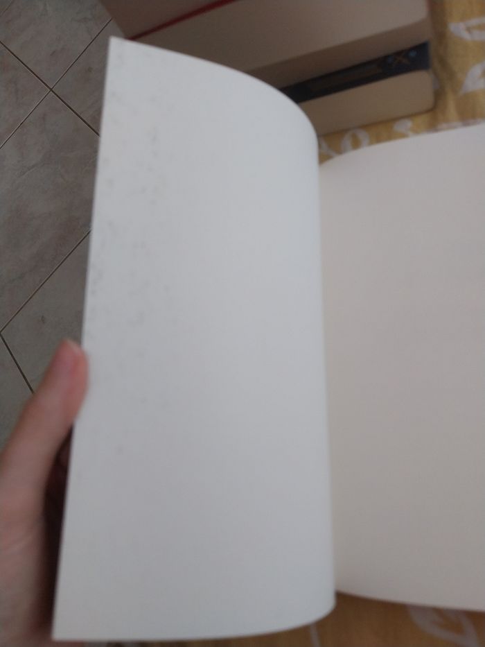 Romans Keleana tomes 0.5 à 4 + 7- Sarah J. Maas La Martinière - photo numéro 9