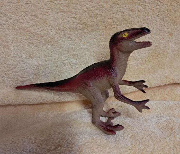 Dinosaure vélociraptor - photo numéro 2