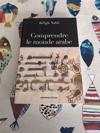Comprendre le monde Arabe