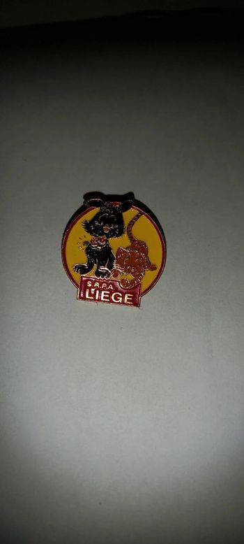 Pin's srpa de liège