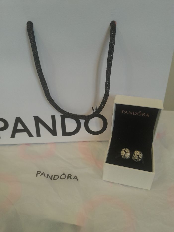 2 charms Pandora