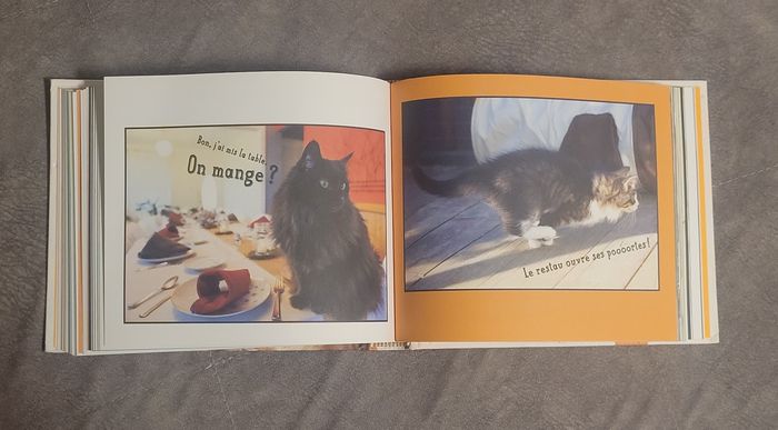 Tu peux pas comprendre, t'es pas un chat ! Alice Zabée, Aurélie Lemoine - photo numéro 5