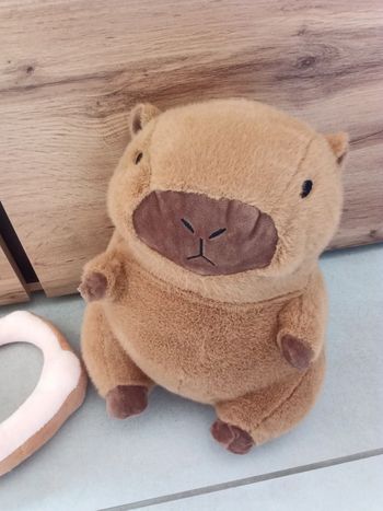Peluche capybara