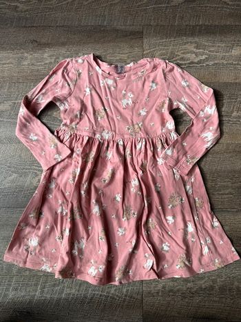 Robe ML