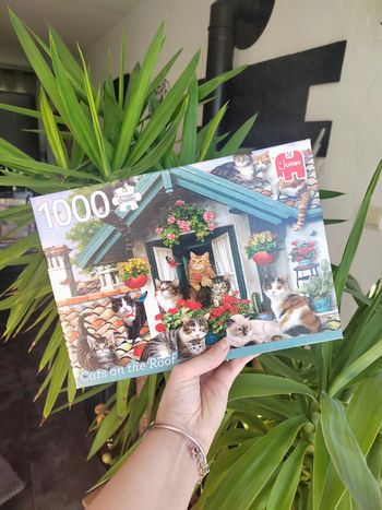 Puzzle 1000 pièces – Complet – Chats sur toit – Complet