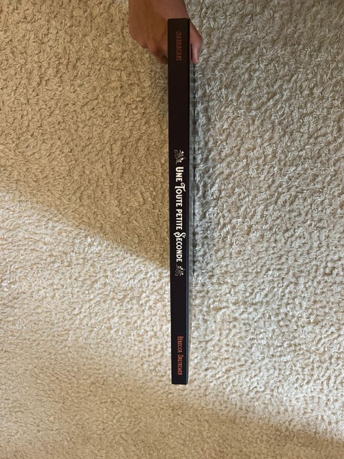 Livre une toute petite seconde Rebecca Dautremer - photo numéro 4