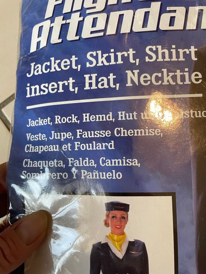 Deguisement hôtesse de l’air - photo numéro 2