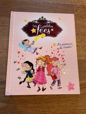 Livre les petites fées La princesse de l’année