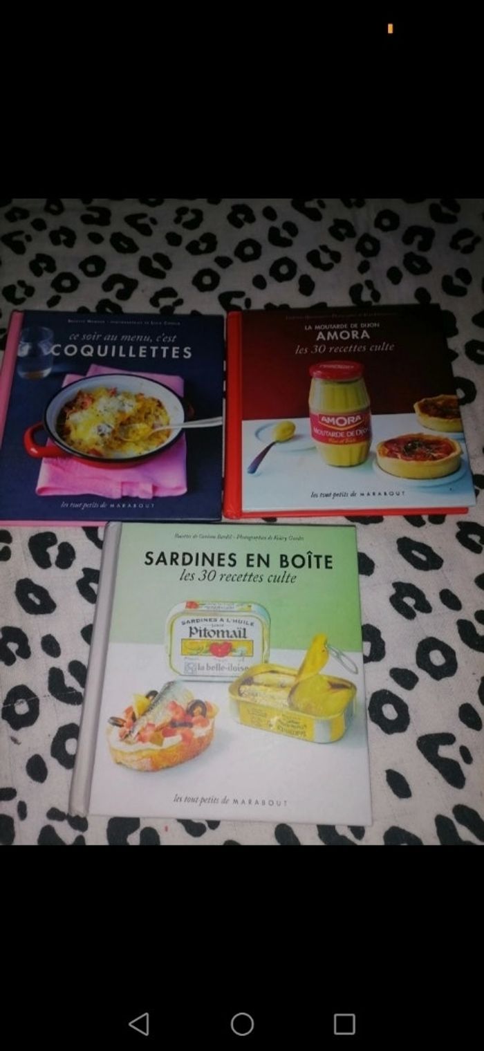 Livres de cuisines - photo numéro 4