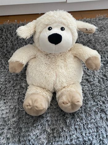 Bouillotte peluche