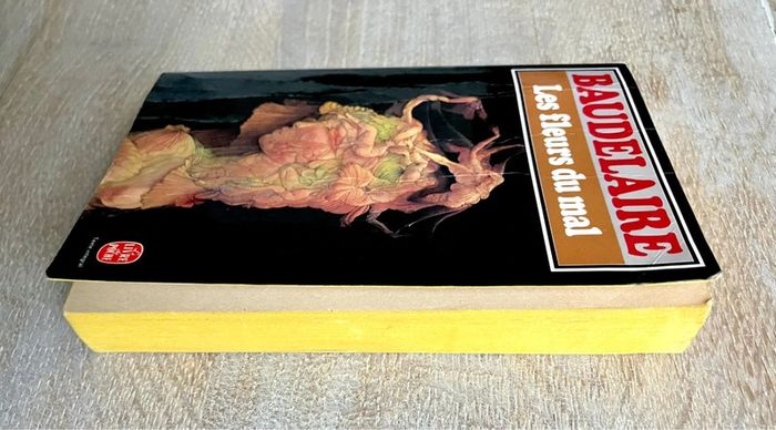 Les Fleurs du mal de Baudelaire – Le Livre de poche – texte intégral - photo numéro 5