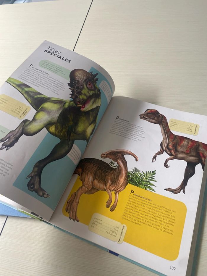 Mon premier atlas et livre dinosaures - photo numéro 5