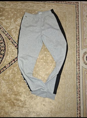 Pantalon lacoste rare