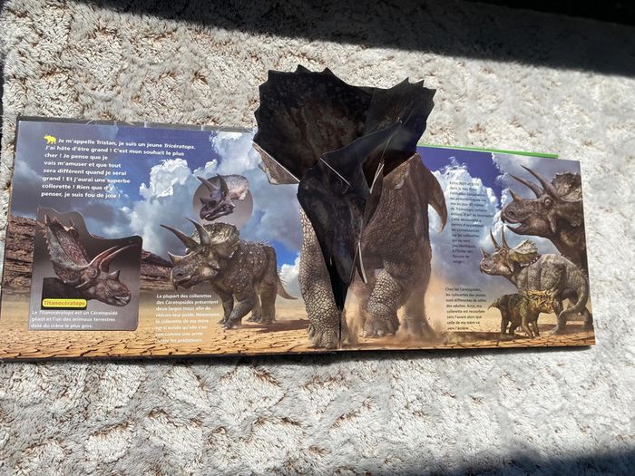 Livre pop up je suis un tricératops - photo numéro 2