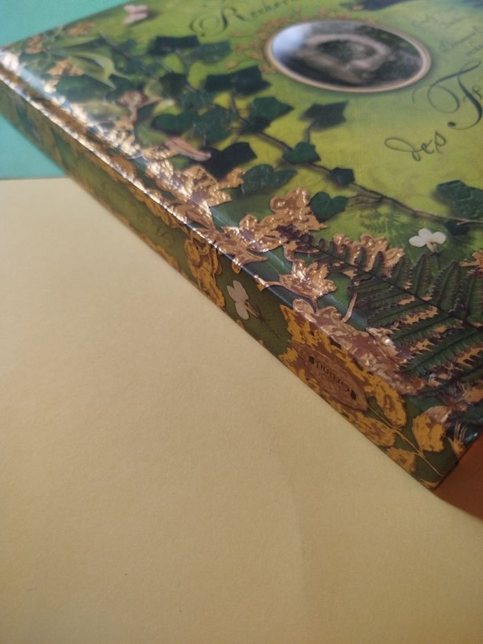 Pop-up à la recherche des fées et des fleurs - photo numéro 9