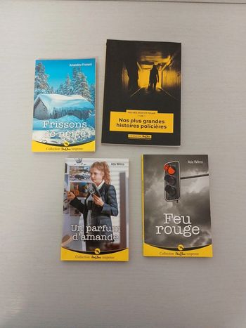 Lot 4 livres nous deux suspens