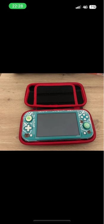 Switch lite