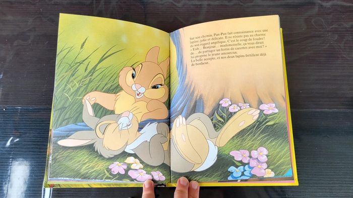 Livre Bambi Disney - photo numéro 4