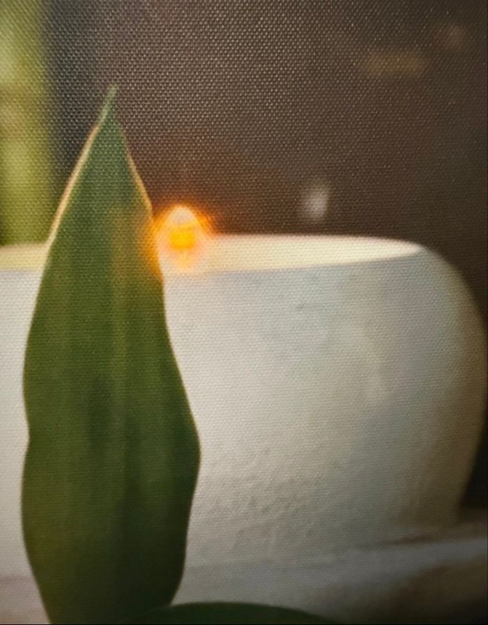 Jolie cadre décoratif lumineux - motif florale - photo numéro 2