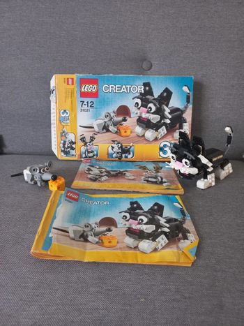 Lego creator 31021