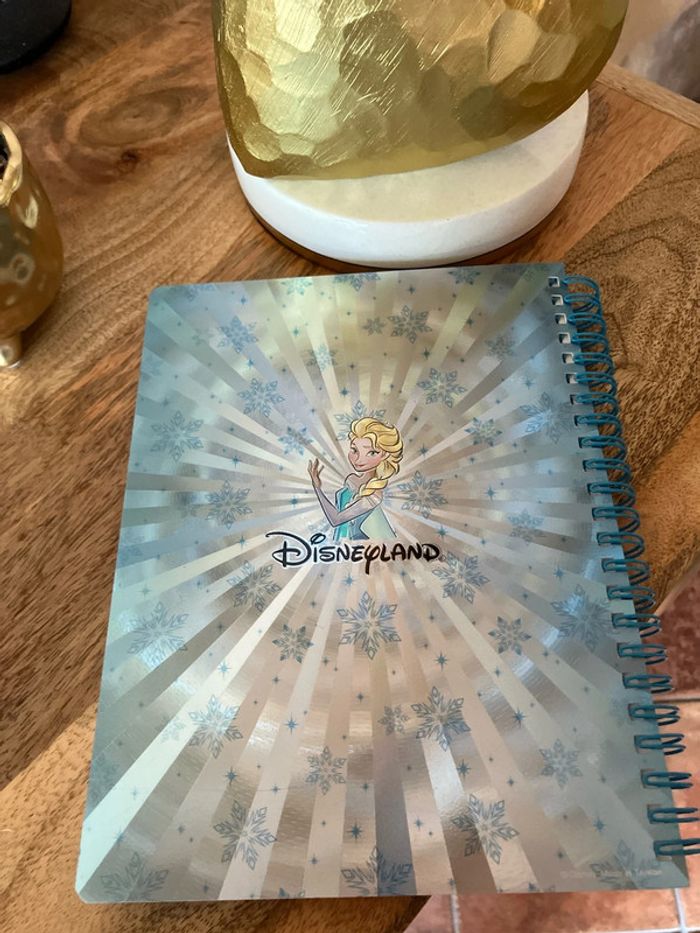 Disneyland cahier livre la reine des neiges - photo numéro 5