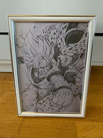 Cadre dragon ball