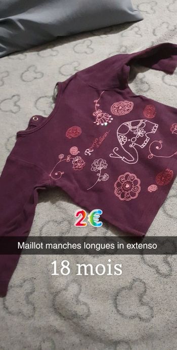 Tee-shirt in extenso