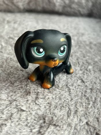 Petshop teckel