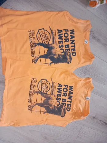 Lot de 2 t-shirts tyrannosaure