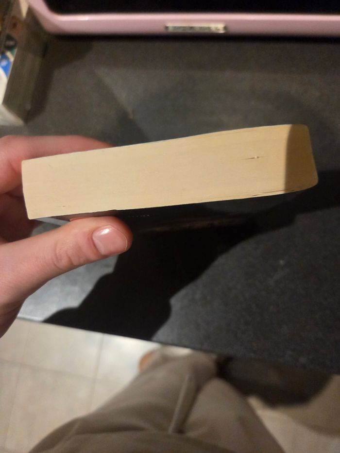 Roman un cri sous la glace - photo numéro 5