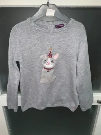 Pull 6 ans gris motif chien fête –