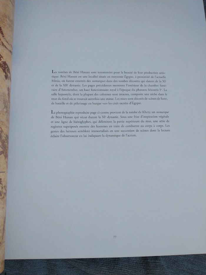Très beau livre hommage à l'Égypte de Sandro vannini - photo numéro 6