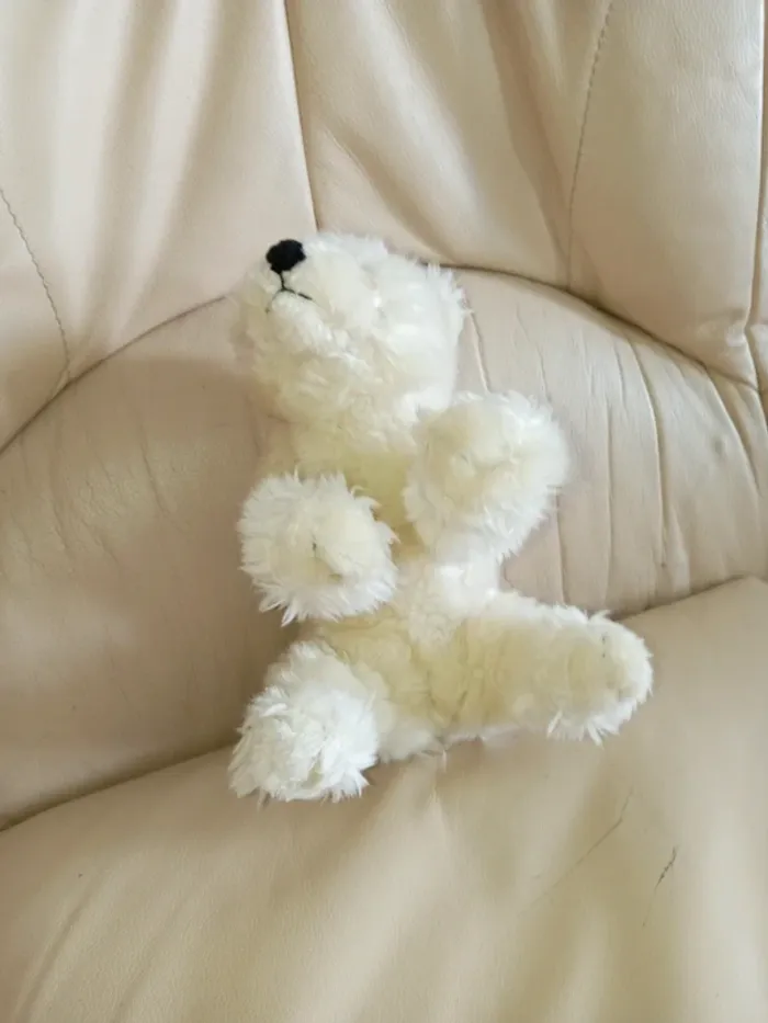 Petit ours blanc - photo numéro 6