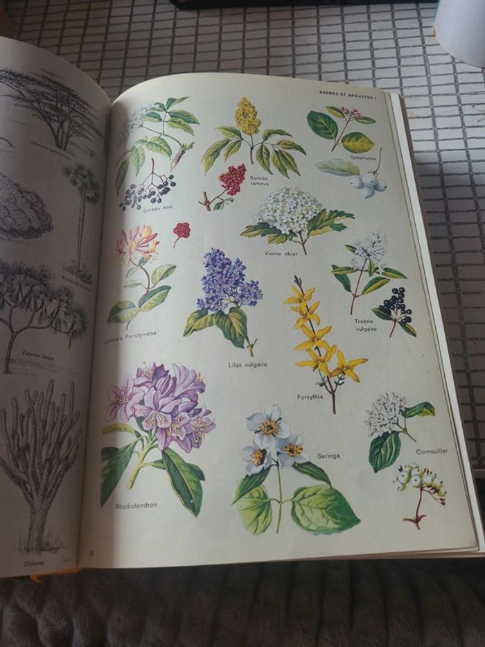 Encyclopedie internationale focus A-c - photo numéro 5