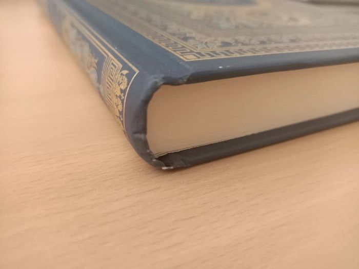 Livre notre dame de paris (victor Hugo / collection hetzel) - photo numéro 3