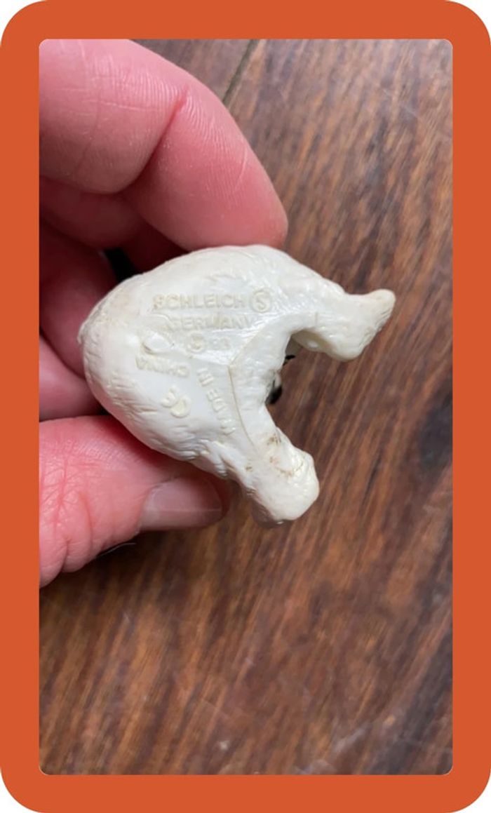 Ours blanc - photo numéro 3