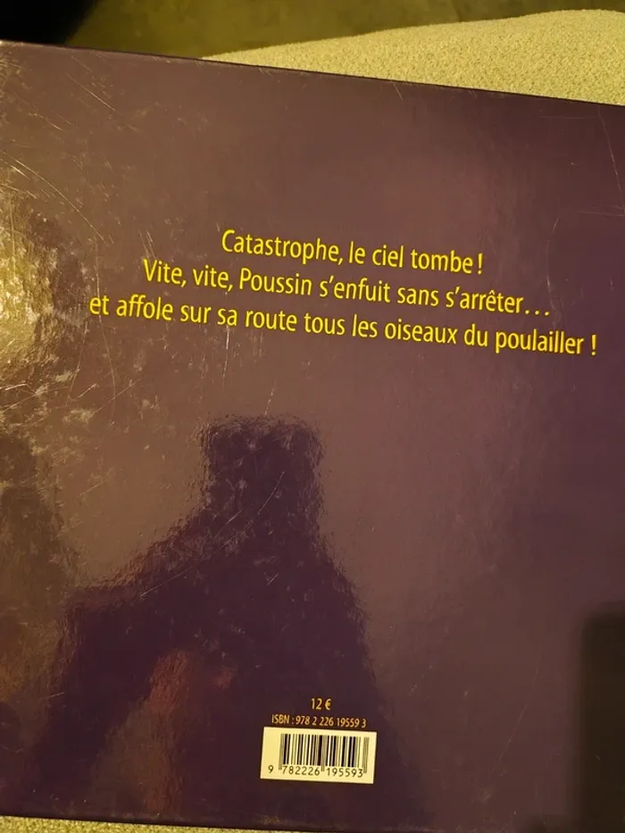 Poussin qui avait peur que le ciel lui tombe sur la tête - photo numéro 2