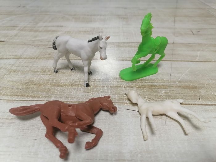 Animaux. - photo numéro 6