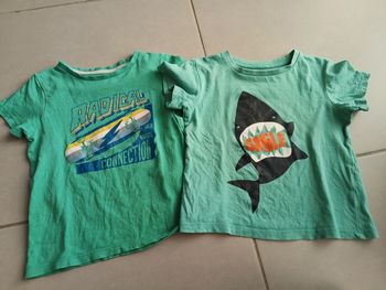 Tee-shirts taille 2/3 ans