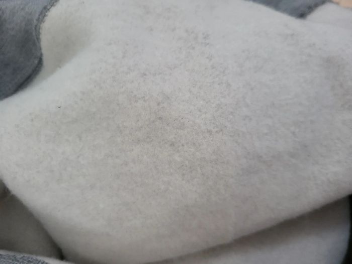 Sweat capuche Ralph lauren Taille L neuf - photo numéro 6