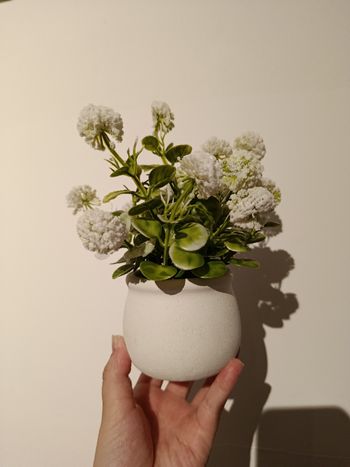 Fausse plante