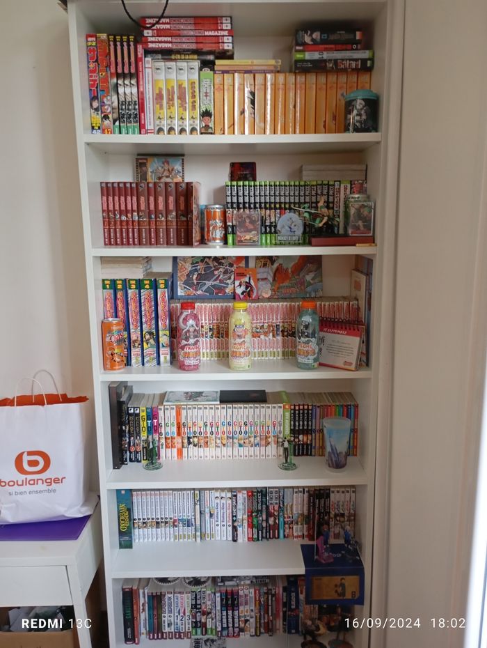 Lot de 240 mangas