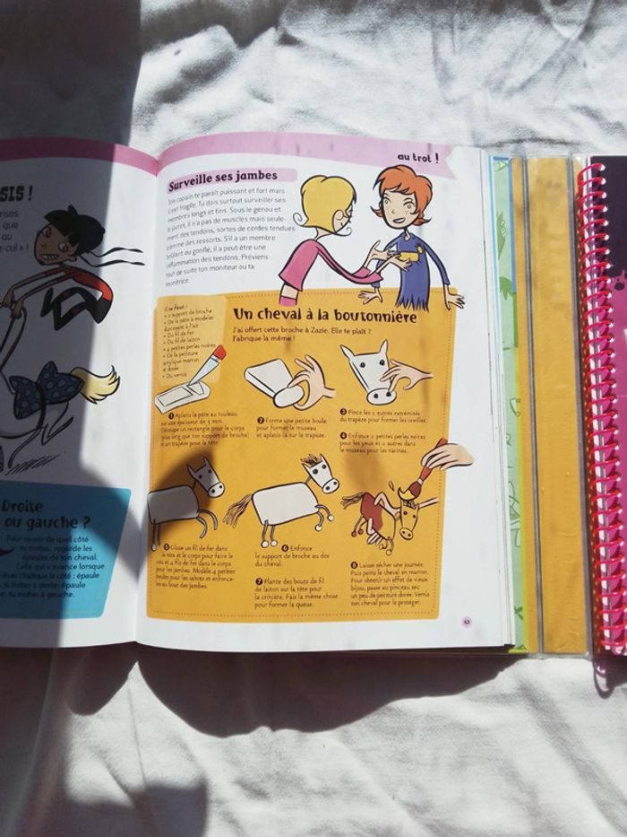 Le kit de la cavalière - photo numéro 3